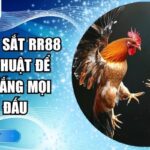 Đá gà cựa sắt RR88