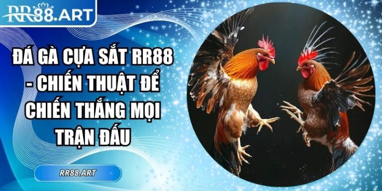Đá gà cựa sắt RR88