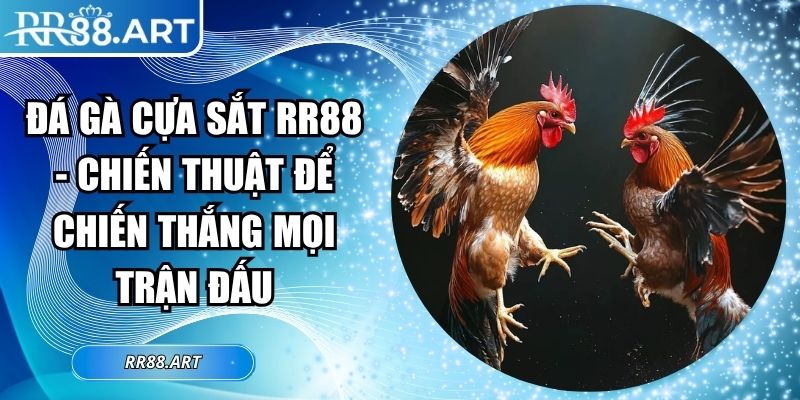 Đá gà cựa sắt RR88