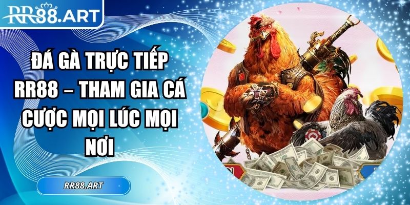 Đá gà trực tiếp RR88